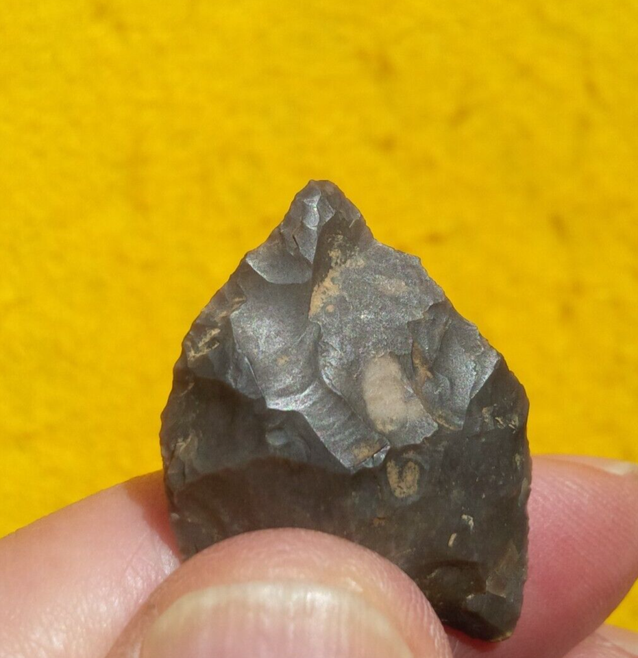 13/16" PALEO HARDAWAY BLADE SOUTH CAROLINA ARROWHEAD Authentic Indian