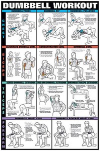 Fitnus Chart