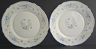 VINTAGE ARCOPAL FRANCE ROMANTIQUE 9 1/4" SALAD DESSERT PLATE SET 2.. — photo 1