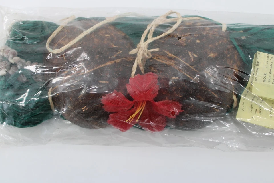 Conjunto Hula Hawaii Infantil 1-5 años Falda Hierba Verde Coco Top Shell Lei Pelo Flor Foto 4 de 4