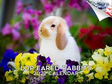 Lop Eared Rabbits Calendar 2026 12x18 Made in USA
