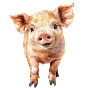 Farm Animals Pig Piglet Self Adhesive Vinyl Sticker