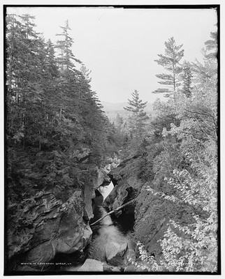Photo:Cavendish Gorge Vermont Landscape Gorge Pines 1900-1906