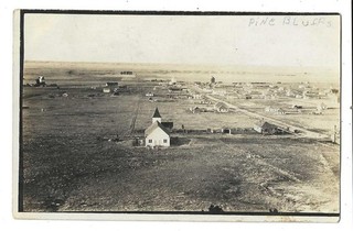 RPPC Pine Bluff Wyoming Town View 1913 Card
