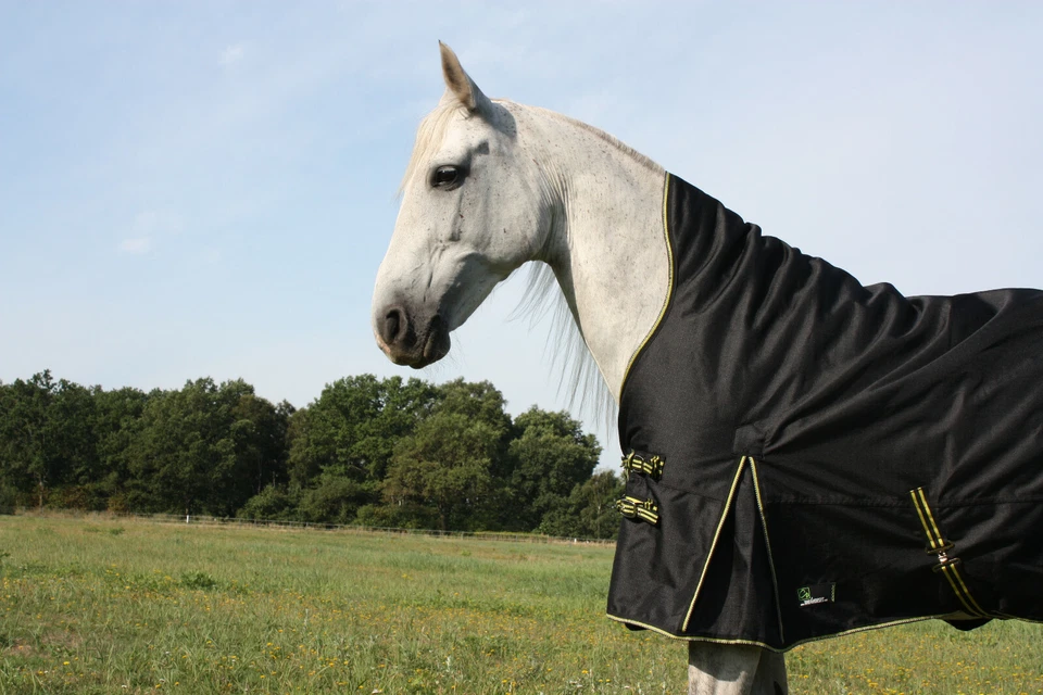 High Neck 100g Pferdedecke 1200D Paddockdecke Stalldecke Weidedecke Winterdecke - Bild 2 von 4