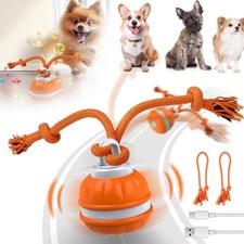 Interaktiver Spielball Hundespielzeug Hundeball Spielzeug Elektrisch 3 Spielmodi