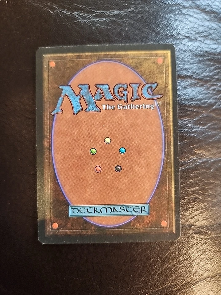 Merchant Scroll - Homelands Regular MTG 1995 NM - Image 2 of 2