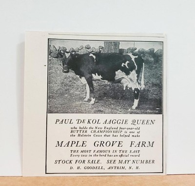 1904 Antrim NH Maple Grove Farm Holstein Cattle D. H. Goodell Photo Print AD