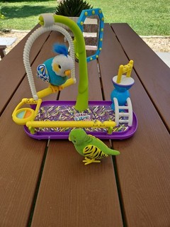 Little Live Pets Blue Bird Cleverkeet Parakeet Playground Talking Parrot WORKS