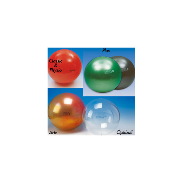Gymnic Gymnastikball – 55 Cm Durchmesser – Für Schwangerschaft, Rehabilitation Und Fitness-Übungen