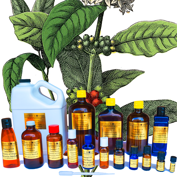 Coffee Essential Oil - 100% PURE NATURAL - Sizes 3 ml to 16 oz - Aromatherapy