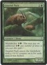 1x Foil - Gnarlid Pack - Magic the Gathering MTG Worldwake