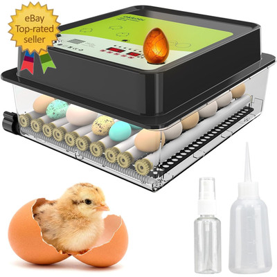 OBI-36 Egg Incubator for Hatching - 36 Eggs - Stable Temperature & Humidity