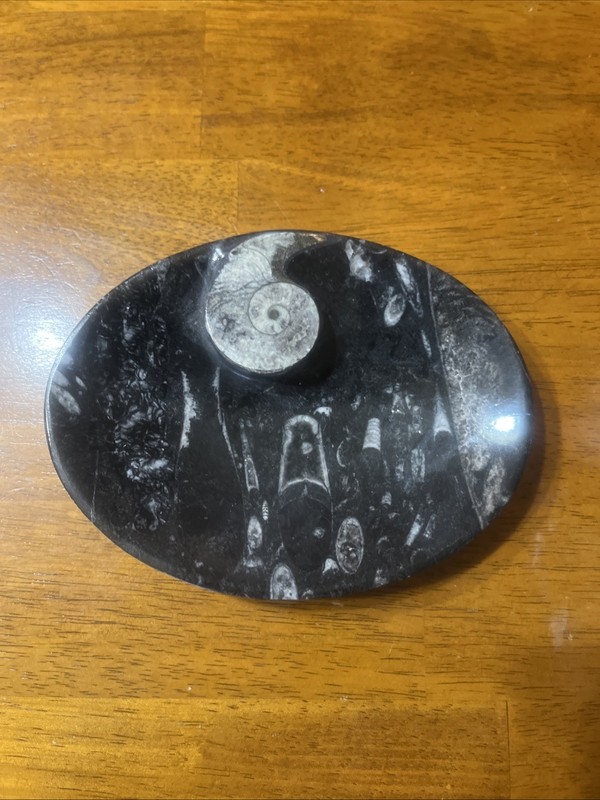 Hand Carved Ammonite Orthoceras Fossil Stone Bowl Jewelry Tray Dish 5” X 6.25”