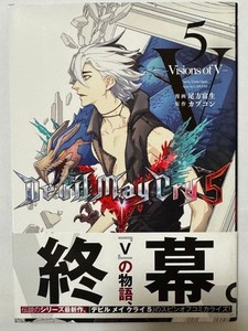 Devil May Cry 5 Visions of V | eBay