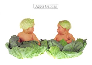 Postcard Anne Geddes Baby On Cabbage Leaves Ebay