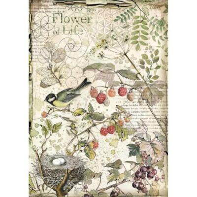 Reispapier-Motiv Strohseide-A4-STAMPERIA-Flowers and Fruits-DFSA4459
