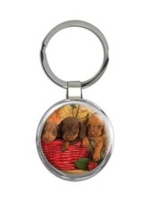 Dog : Gift Round Keychain Pet Animal Puppy Cute Funny Basket Canine Pets Dogs