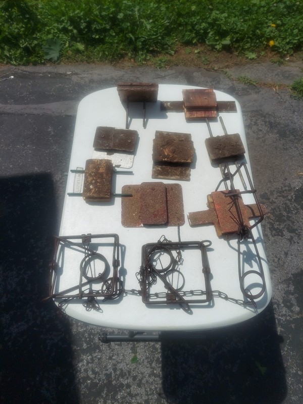 LOT  3 110 CONIBEARS AND 8 TRAP STABILIZERS, HOMEMADE TRAPPING SUPPLIES, UNIQUE