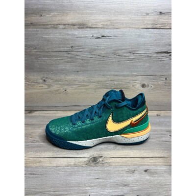 靴 NIKE LeBron Nike Zoom LeBron NXXT Gen Mens Size 13 Geode Teal Melon Tint
