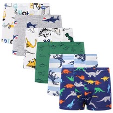 Boys Toddler Dinosaur Cotton Underwear Boxer Briefs 6 Pack 4T Grey