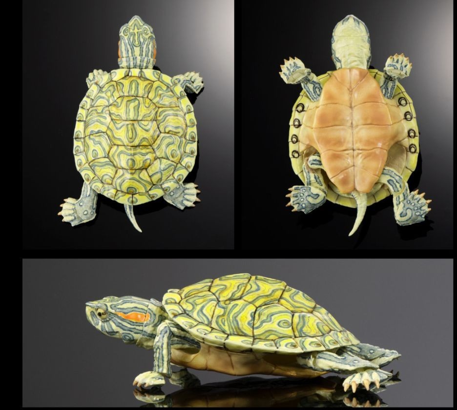 Bandai Gashapon Turtle 02 Action Figure ADVANCE Red-eared Slider