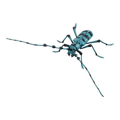 Bandai Gashapon Longhorn Beetle Action Figure ADVANCE Rosalia batesi Japan