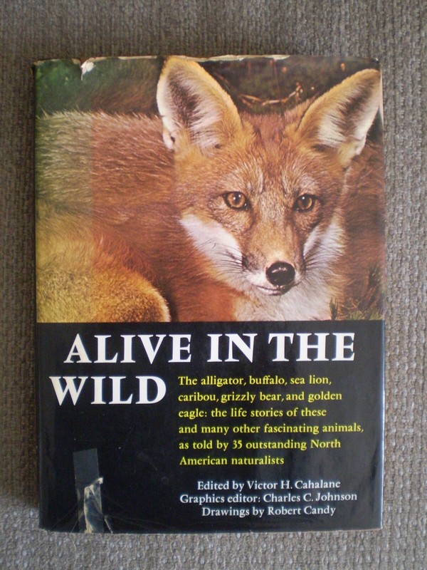 Alive in the Wild Edited by Victor H. Cahalane ©1970 Hardcover with Dust Jacket