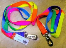 Valhoma 1" wide Nylon RAINBOW DOG LEASH w/ swivel eye spring snap 4 or 6 foot 