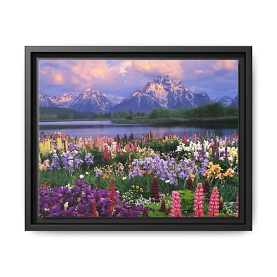 Grand Tetons Spring Flowers Blooming Framed Canvas Print Floral Art Photo