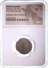  on The Hot Collector