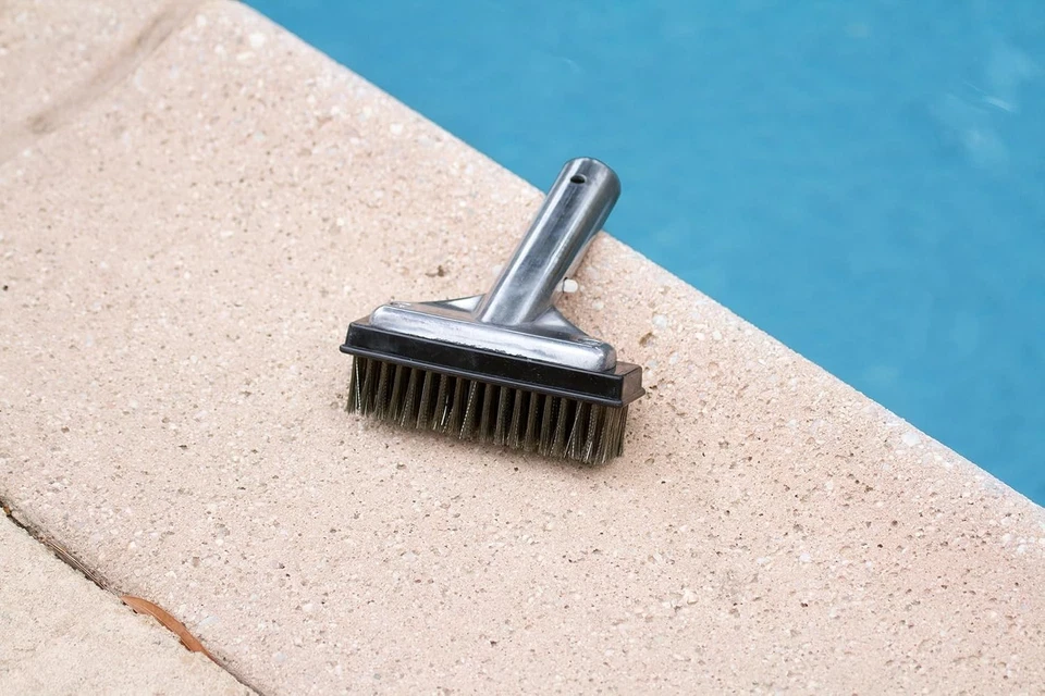 20178 Aluminum-Back Swimming Pool Algae Brush with 5-Inch Steel Brush2 - Image 3 of 4