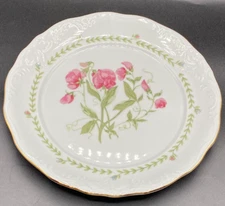 Tienshan Floriade Fine China Dinner Plate 10 3/8" Excellent Condition