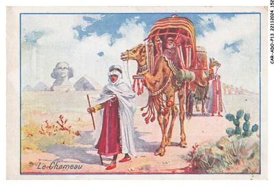CAR-ADOP13-1095-CHROMOS - Révillon Schokolade - Das Kamel