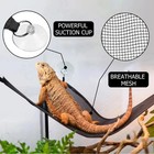 Reptile Hammock for Bearded Dragon Lizard Reptile Snakes Hermit Crab Turtle