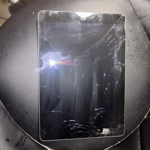 Apple iPad Wi-Fi Tablet