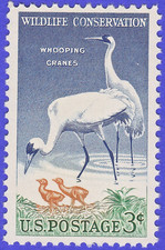 De colección 1957 grúas gritas sello conservación vida silvestre 3c POSTAJE AVES POLLITOS MNH