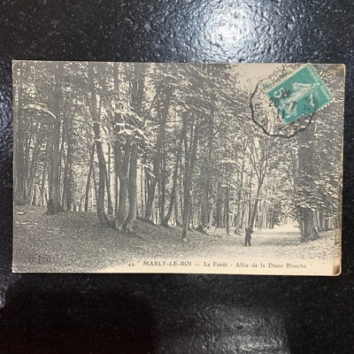 Old postcard - MARLY-LE-ROI - LA FORÊT - ALLÉE DE LA DIANE BLANCHE