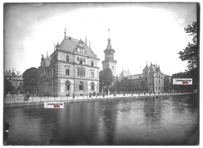 Plaque verre photo ancienne positif noir et blanc 13x18 cm Boucau