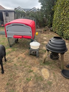 OMLET EGLU Large Cube MK1 plus Loads of Extras Complete Chicken Poultry Set Up