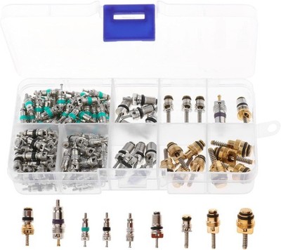 134 Pcs Assorted AC Schrader Valve Core Kit R134A with 11 Types Air Conditioning