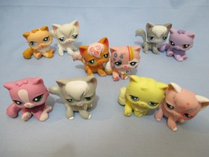 lps angora cat