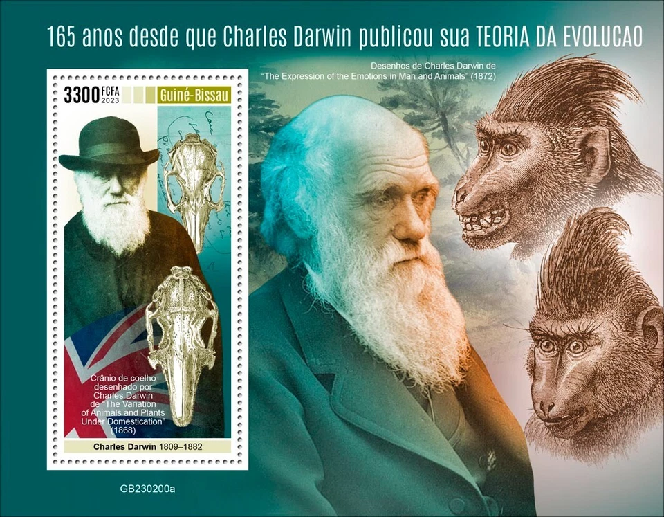 Estampillas de la teoría de la evolución de Charles Darwin MNH 2023 Guinea-Bissau M/S + 2 S/S Foto 4 de 4