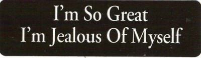 Motorcycle Sticker for Helmets or toolbox #216 I'm so great I'm jealous of mysel