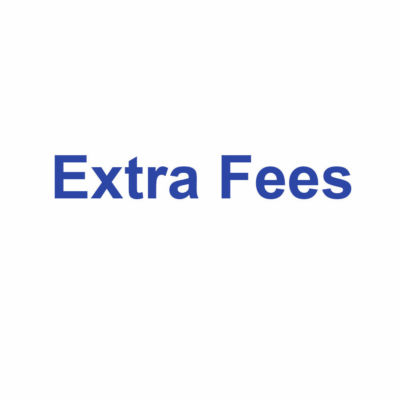 Extra Service like Shipping Fees etc