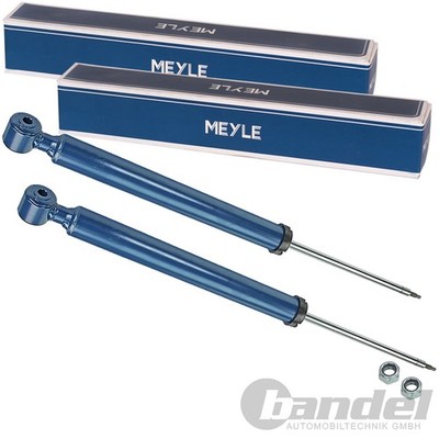 2x MEYLE STOSSDÄMPFER HINTERACHSE für FORD KUGA I 2.0- 2.5 4x4 TDCI AB 02.2008