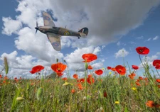 BBMF Hurricane over poppy field, canvas print various sizes free delivery 