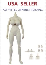 1/6 scale XL BUST female body huge big breast SUNTAN for 12" action figure