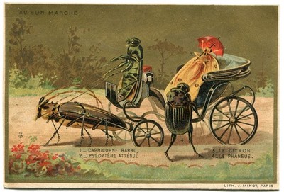 Glanzbilder scraps Karte Litho Kutsche Huhn Maikäfer Au Bon Marche -2 11 cm