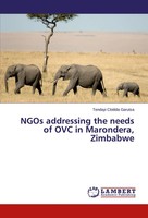 Tendayi Clotilda Garutsa | Ngos Addressing The Needs Of OVC In Marondera,...